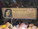 Took, Steve Peregrin (id=4463)